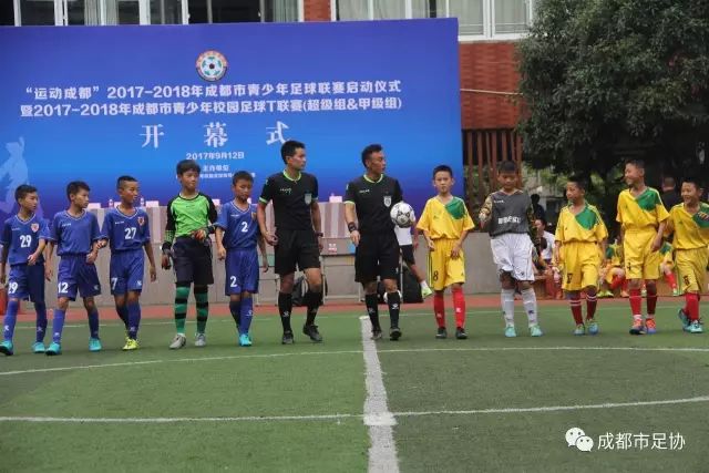 尤文披露迪玛利亚伤情 养伤20天能在世界杯前复出